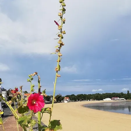 Escale Détente à Hébergement de vacances